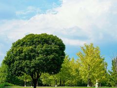 -重庆中央公园(渝北区)