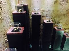 -MOJO密室逃脱(中街旗舰店)