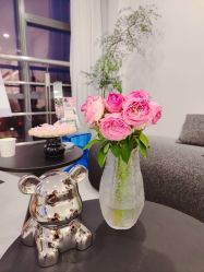 -JNK皮肤管理中心