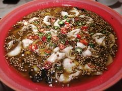 -初蓉丨遇见新川菜(亲贤街荣耀店)