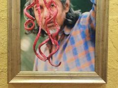 -信不信由你博物馆