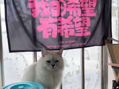 -汪说·狗咖(旺城大厦店)