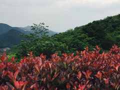 -四明山国家森林公园