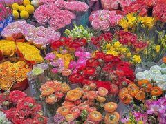 -双季花艺园艺市场(浦东店)