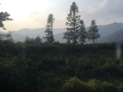 -塔川景区