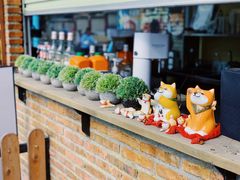 -柴犬高等学院·狗咖·柴犬售卖·宠物训练