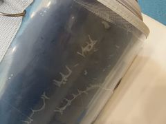 -宠颐生宠物医院·异宠猫科内科·诊疗中心宠巢店
