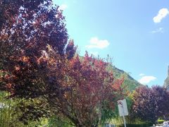 -少华山国家森林公园