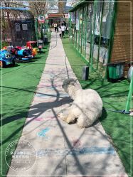 -萌宠亲子动物乐园(槐房万达店)