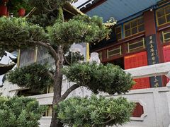 -仓山金山寺