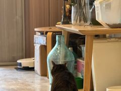 -PAUSE CAFE(南秀村店)