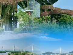 -芒洲湿地公园