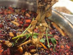 -麻辣巅峰美蛙鱼头火锅(犀浦店)