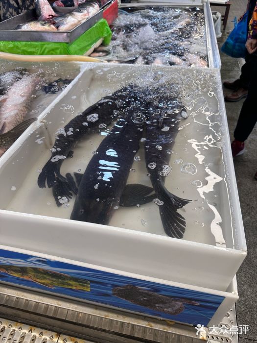 彭盛菜市场图片