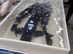 -彭盛菜市场