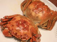 -东方明珠老上海8号餐厅
