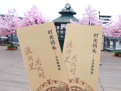 -武汉知音号