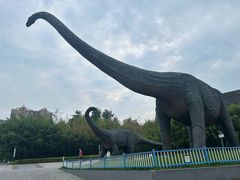 -安徽省地质博物馆