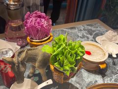 -慢丽江·云南野生菌土鸡锅(西山店)