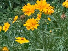 -西湖风景区-江洋畈生态公园