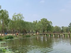 -东郊湿地公园