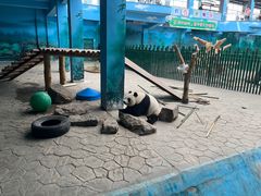 -沈阳森林动物园