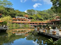 -深圳仙湖植物园