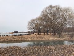 -苏州太湖湖滨国家湿地公园