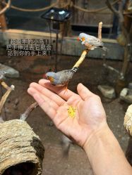 -Zoolung Zoolung动物主题公园(海信广场店)
