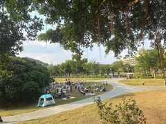 -风云岭森林公园