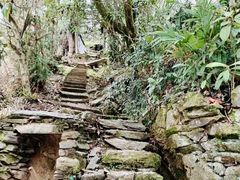 -新安江山水画廊风景区