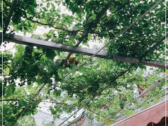 -伊隆斋(什刹海店)