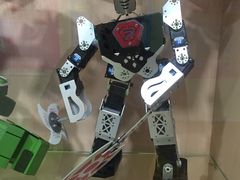 -乐博乐博少儿编程·机器人编程·信息学竞赛(杨浦五角场校区)