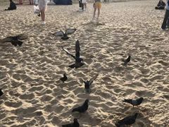 -海云台海滩