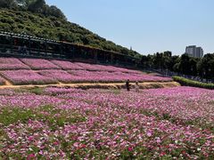 -龙凤山庄影视度假村
