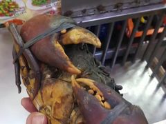-纽顿熟食中心
