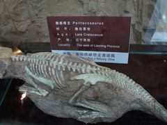 android_upload_pic-南阳龙潭沟