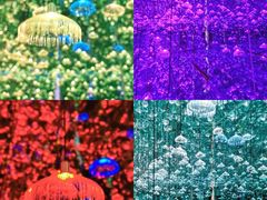 -杭州西湖星空魔幻城(星空艺术馆品牌旗舰店)