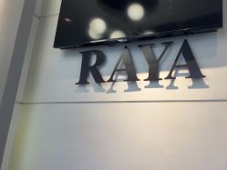 -RAYA韩国造型