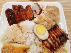 烧鹅饭-宋记港式烧鹅(星火路店)