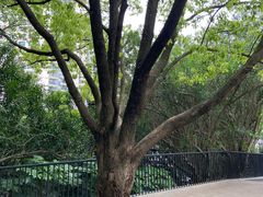 -苏州河梦清园环保主题公园