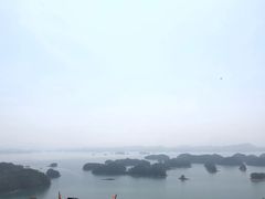 -全乐鱼馆·淳牌有机鱼直营店