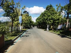 -光明小镇欢乐田园
