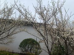 -南京市江宁方山