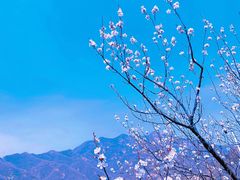 -居庸关长城