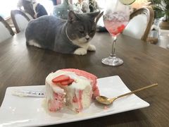海盐奶盖卷-共舞时光猫咖·狗咖(新街口店)