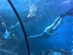 -太平洋海底世界