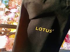 -莲花跑车(国贸商城店)