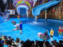 -烟台海昌鲸鲨海洋公园