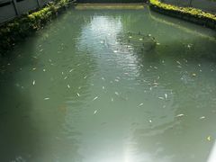 -珠海叠泉山庄